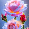 user4754093663700