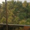 feryaz.rgel