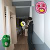 amir..dxbb
