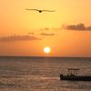 bonaire31