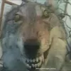 testehdhdsjs