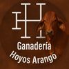 Ganderia Hoyos Arango