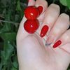 flora_25__