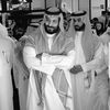aseel_111a6