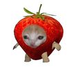 sillybillybr1