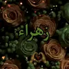 user91275570778481