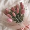 arwa79012
