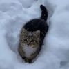 xuy_pososi228