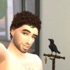 jay.the.simmer