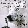 user78162381459806