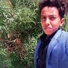 user4279101987185