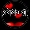 rafsansajid50