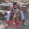 black_list_kennels