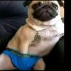 joseph.acosta79