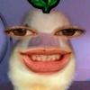 fl0owlynaa
