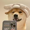 funny-dogs001