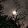 anika.jannat269