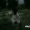 xinhgailvmaxx_2017