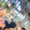 razi0743
