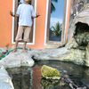 dian.christin6