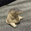 chubby_crocodile67