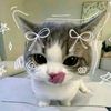 urlocalalina5