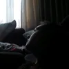 _goose___