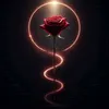 user7169849660639
