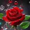 user3325596810286