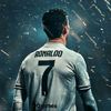 user41331986908060