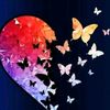 user1630041317679