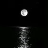 user7800239530398