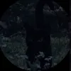 ellabambella12