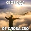 yana_cist9113