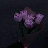 a8_lrri