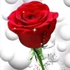 user209475415