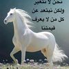 user15173203327712