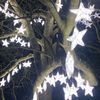 the_starr06