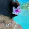 holi_cita