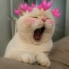 bariyey🥺