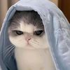 saba.ahsan57