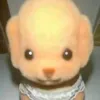 user25080807._