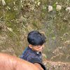 gilang.putra.rama3