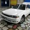semaupi