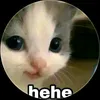 nddkhoa._.567