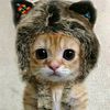 sky._.angel._.67