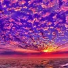 xxemily70