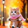 hinaasif8455