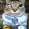 gatoconquista