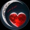 user6223715203338